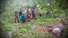 Kakinada Tiger In Anakapalle: అనకాపల్లి జిల్లాకు చేరుకున్న పెద్దపులి.. ఓ గేదెపై దాడి | ABP Desam