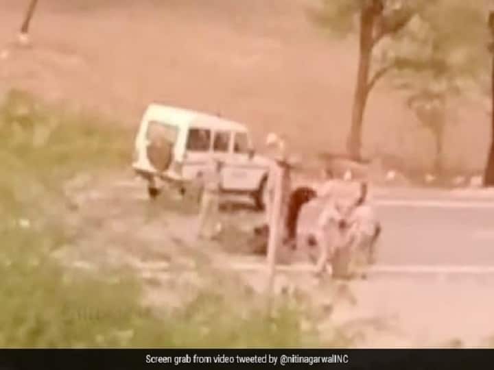 Watch: How Men In Video Of Udaipur Murder Were Caught Video : நாட்டை உலுக்கிய உதய்பூர் கொலை: கொலையாளிகள் சிக்கியது எப்படி...வெளியான பரபரப்பு வீடியோ