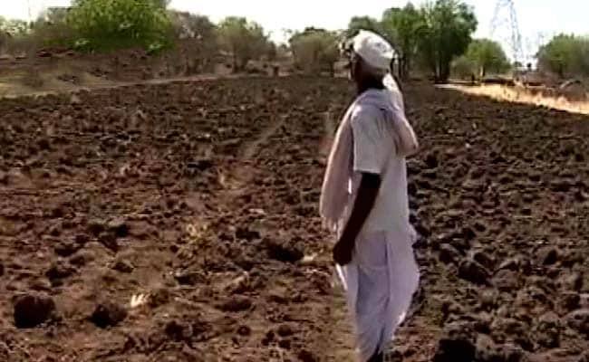 maharashtra News Aurangabad Rain conditions in Aurangabad district Aurangabad: कुठे बरसला, कुठे रुसला; औरंगाबाद जिल्ह्यात कशी आहे पीक परिस्थिती 