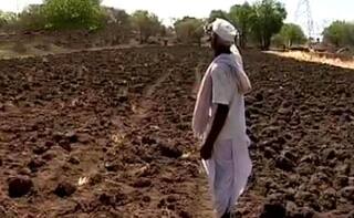 Aurangabad: कुठे बरसला, कुठे रुसला; औरंगाबाद जिल्ह्यात कशी आहे पीक परिस्थिती 