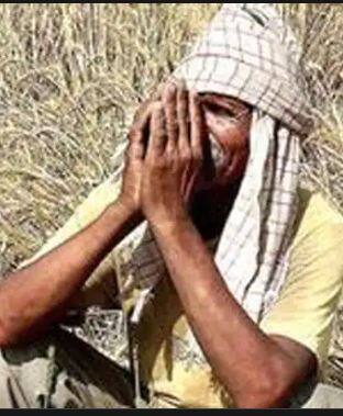 राज्यात अद्याप 87 टक्के क्षेत्रावर पेरणी बाकी आहे
