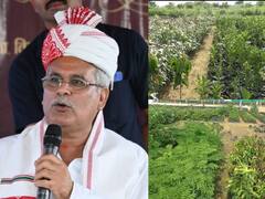 In Pics: सीएम भूपेश बघेल ने किया छत्तीसगढ़ के पहले हाईटेक नर्सरी का लोकार्पण, देखें तस्वीरें