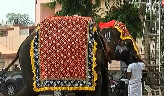 જય જગન્નાથઃ ગજરાજ અને ભગવાન જગન્નાથ વચ્ચે શું છે વિશેષ સંબંધ?, જાણો આ વીડિયોમાં