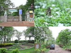 In Pics: मानसून ट्रिप की योजना बना रहे हैं तो रायपुर की यह जगह है आपके लिए, देखें तस्वीरें