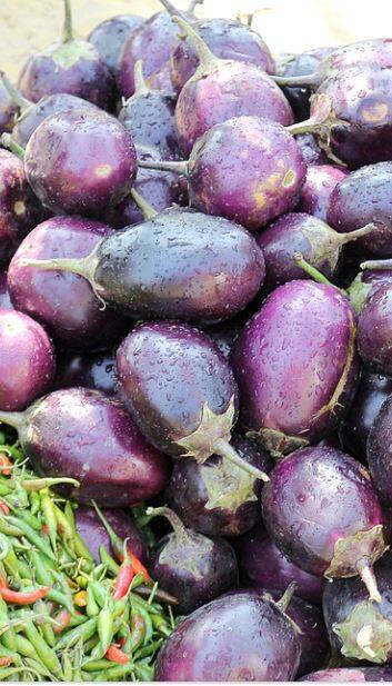 বেগুনের অনেক গুণ