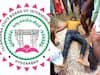 TS Inter Students Suicide: ముగ్గురు ఇంటర్ విద్యార్థుల ప్రాణాలు తీసిన ఫలితాలు - తక్కువ మార్కులొచ్చాయని సైతం !