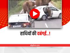 Watch: हाथियों का बीच सड़क हुड़दंग, गुस्सा आने पर गाड़ी पर कर दिया हमला