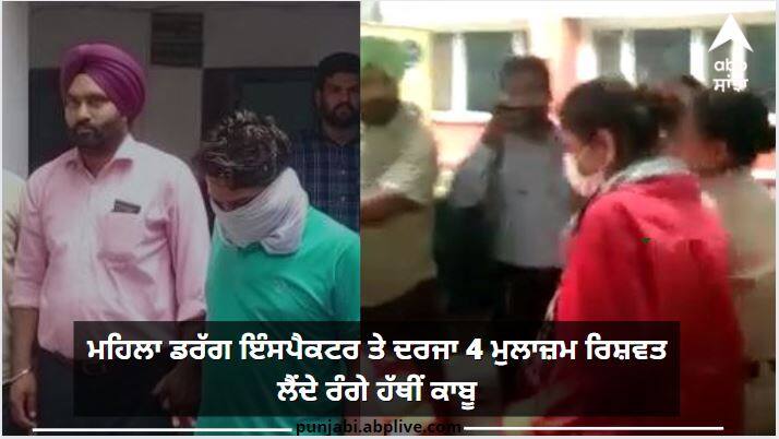 Vigilance arrested Drug inspector and rank 4 employees red handed in bribery case ਰਿਸ਼ਵਤਖੋਰੀ ਨੂੰ ਲੈ ਕੇ ਵਿਜੀਲੈਂਸ ਦੀ ਵੱਡੀ ਕਾਰਵਾਈ, ਮਹਿਲਾ ਡਰੱਗ ਇੰਸਪੈਕਟਰ ਤੇ ਦਰਜਾ 4 ਮੁਲਾਜ਼ਮ ਰੰਗੇ ਹੱਥੀਂ ਕਾਬੂ