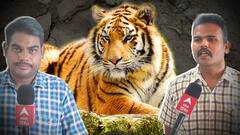 Explained | How To Trace A Bengal Tiger: పులిని పట్టుకోవడంలో పాదముద్రల గుర్తింపే కీలకం. ప్రాసెస్ ఇదే