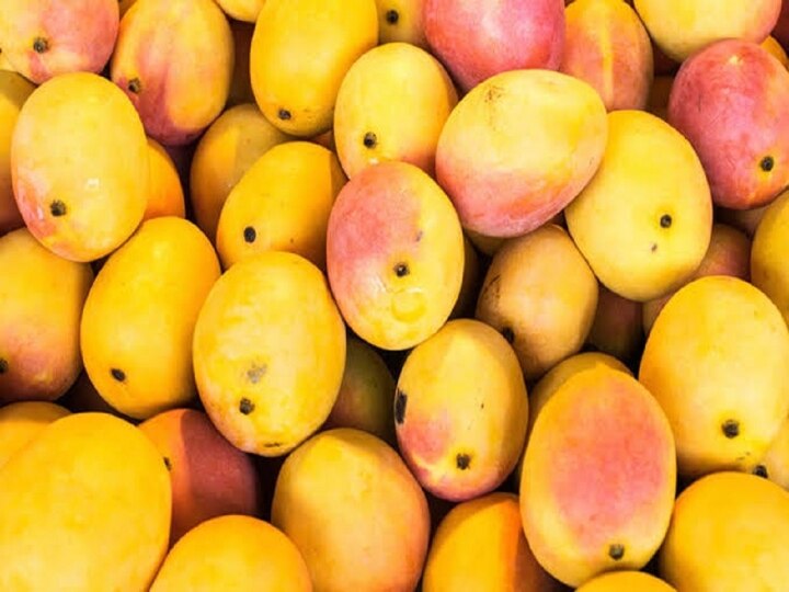 Mango: எங்கு பார்த்தாலும் மாம்பழம்... இயற்கை எது? செயற்கை எது? கண்டுபிடிக்க ஈஸி ஐடியா இதோ!