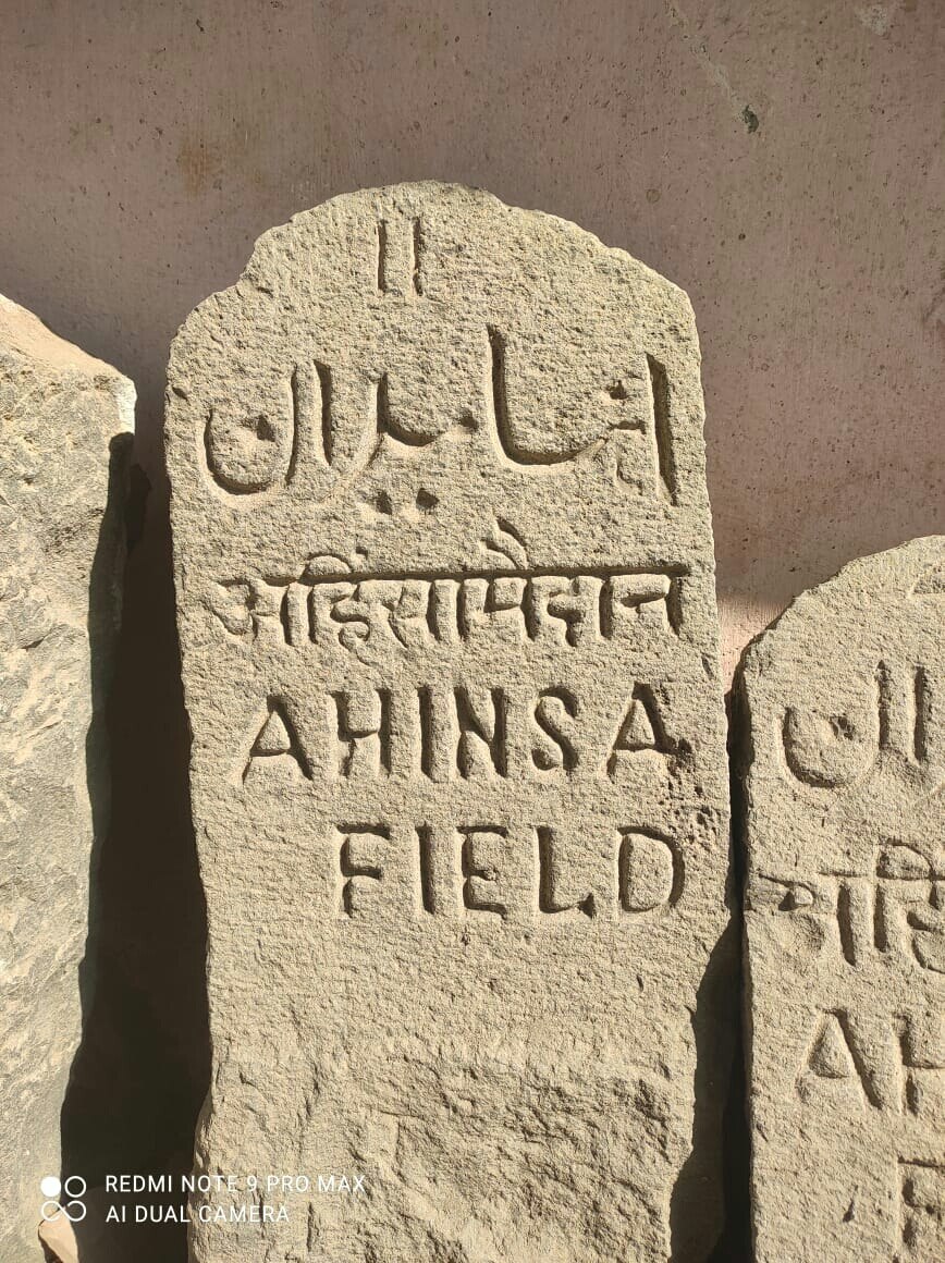 Osmanabad Dharashiv : उस्मानाबादचं नामांतर झालेल्या 'धाराशिव'चा वैभवशाली इतिहास! रोम, आफ्रिका देशातील लोकांचे होते वास्तव्य