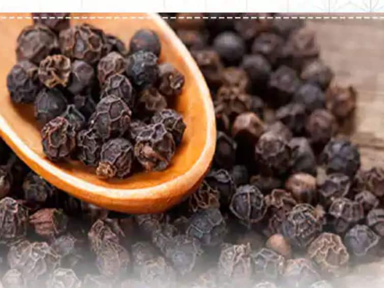 astrological remedies of black  pepper totke to solve all your problems  Kali Mirch Ke Totke : काळ्या मिरीचा छोटासा उपाय जीवनात हजारो आनंद आणेल 