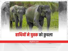 Jharkhand में हाथियों का आतंक, चाईबासा में युवक को कुचला, दहशत में ग्रामीण 