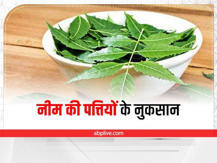 Side Effects of Neem on Health Neem Side Effects फायदे ही नहीं