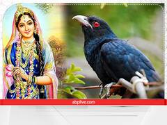 Kokila Vrat 2022 Significance: इस दिन पड़ रहा है कोकिला व्रत, जानिए इसका महत्व और पूजा विधि