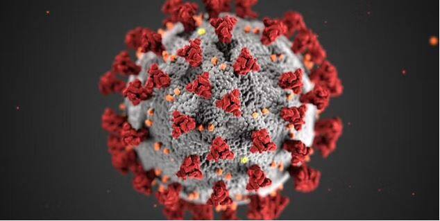 Coronavirus Punjab : 3 patients died in the last 24 hours. For the second day in a row 223 patients have been found In Punjab  ਪੰਜਾਬ 'ਤੇ ਫ਼ਿਰ ਕੋਰੋਨਾ ਦਾ ਸਾਇਆ, ਐਕਟਿਵ ਮਰੀਜ਼ਾਂ ਦੀ ਗਿਣਤੀ 1079 ਤੱਕ ਪਹੁੰਚੀ