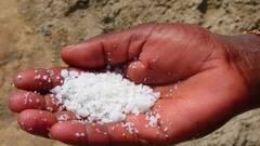 Weight Loss Tips: শরীরচর্চার আগে এক চিমটে লবণ, মেদ ঝরবে তাড়াতাড়ি