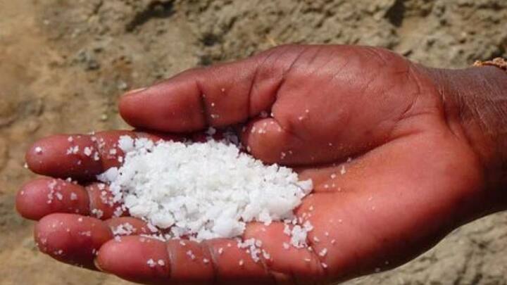 কিন্তু শরীরচর্চার আগে এক চিমটে লবণ দ্রুত মেদ ঝরাতে সাহায্য করতে পারে। কী ভাবে জানুন।