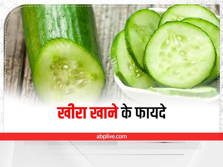 Cucumber Health Benefits: इन वजहों से डाइट में शामिल करना चाहिए खीरा, जानें इसके 5 जबरदस्त फायदे