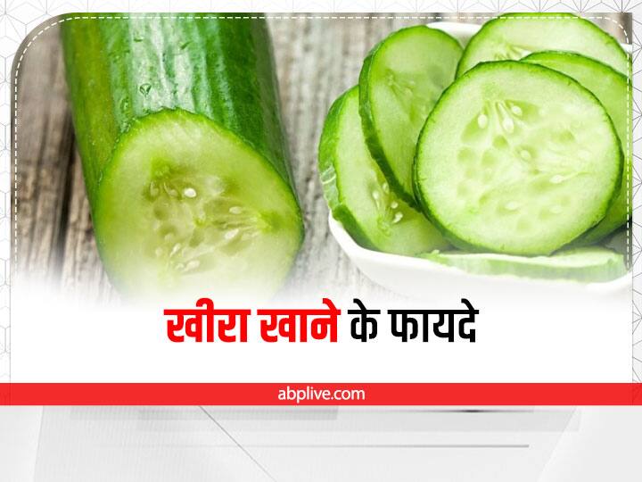 Cucumber Health Benefits: इन वजहों से डाइट में शामिल करना चाहिए खीरा, जानें इसके 5 जबरदस्त फायदे cucumber benefits Reasons to eat cucumber everyday cardiovascular health digestion Cucumber Health Benefits: इन वजहों से डाइट में शामिल करना चाहिए खीरा, जानें इसके 5 जबरदस्त फायदे