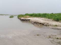 Haridwar News: टूटे तटबंध की 5 साल बाद भी नहीं हुई मरम्मत, खेती छोड़ने पर मजबूर हुए किसान