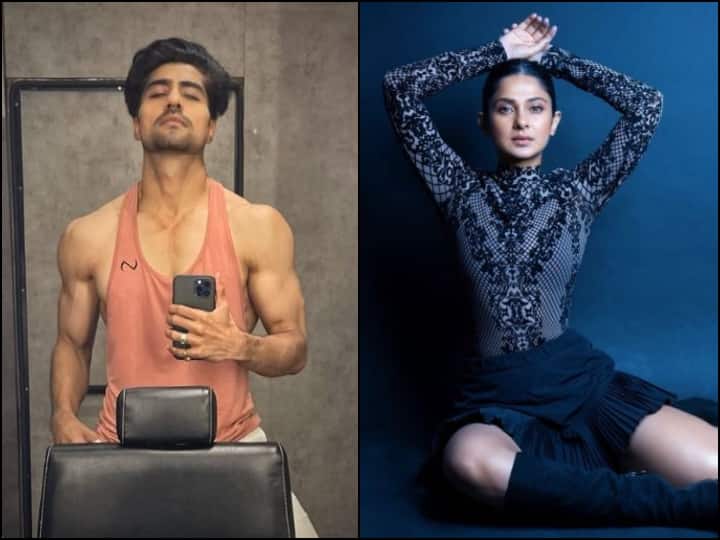 हर्षद चोपड़ा का नाम ‘बेहद’ की एक्ट्रेस जेनिफर विंगेट (Jennifer Winget) के साथ जुड़ चुका है. ‘बेपनाह’ में उनकी जोड़ी को फैंस ने खूब पसंद किया था. हालांकि दोनों ने अपने रिश्ते को महज एक दोस्ती बताया था.