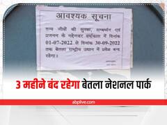 Jharkhand: मानसून में 3 महीने बंद रहेगा Betla National Park, वजह नहीं जानन चाहेंगे आप 