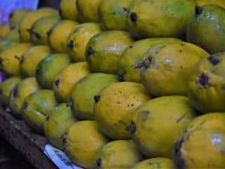 Mango: எங்கு பார்த்தாலும் மாம்பழம்... இயற்கை எது? செயற்கை எது? கண்டுபிடிக்க ஈஸி ஐடியா இதோ!