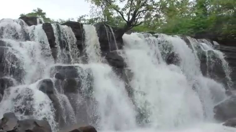 Sindhudurg news Savdav Waterfall in Kankavali flows Savdav Waterfall : हिरव्यागार वनराईतून फेसाळत कोसळणारा सावडाव धबधबा प्रवाहित