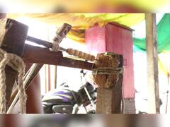 PHOTO: तुळशीची माळ आणि पांडुरंगाचं अतूट नातं!  चायना माळेपुढे खरी तुळशीमाळ कशी ओळखाल?