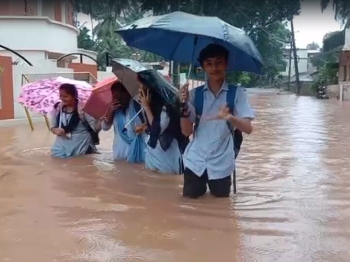 Karnataka Light To Moderate Rain, Areas That Look Like A Flooded Forest ...