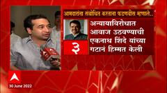 Nitesh Rane : ठाकरे अडनाव ठेऊन ठाकरे होता येत नाही, यांचं उदाहरण म्हणजे Uddhav Thackeray
