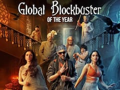 Kartik Aaryan On 'Bhool Bhulaiyaa 2' Global Success: 'Number 1 Sirf India Mein Nahi, Poore World Mein Ho Gayi Bhai'