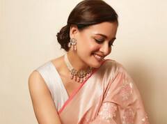 Dia Mirza Photos: पीच कलर की साड़ी में दीया मिर्जा ने बिखेरा खूबसूरती का जलवा, दिलकश अंदाओं पर अटका फैंस का दिल