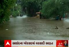 હું તો બોલીશ: આણંદના બોરસદમાં વરસાદી આફત
