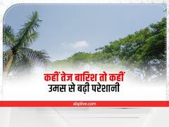 Chhattisgarh Weather Update: छत्तीसगढ़ में कहीं तेज बारिश तो कहीं उमस से लोग परेशान, जानें मौसम का हाल