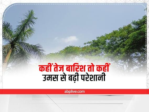 Chhattisgarh Weather Update: छत्तीसगढ़ में कहीं तेज बारिश तो कहीं उमस से लोग परेशान, जानें मौसम का हाल Chhattisgarh Weather Update: छत्तीसगढ़ में कहीं तेज बारिश तो कहीं उमस से लोग परेशान, जानें मौसम का हाल