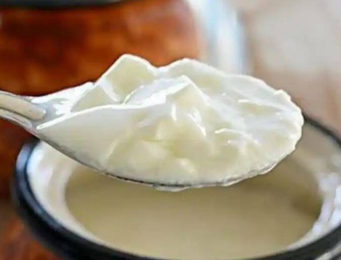 5 things not to eat with curd ਕੰਮ ਦੀ ਗੱਲ! ਭੁੱਲ ਕੇ ਵੀ ਦਹੀਂ ਨਾਲ ਨਹੀਂ ਖਾਣੀਆਂ ਚਾਹੀਦੀਆਂ ਇਹ 5 ਚੀਜ਼ਾਂ