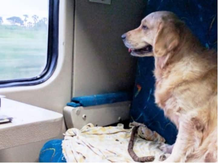 Kanpur If you want to travel with your dog by train in UP, then first know the whole rules Dog Rules In Train: अगर यूपी में ट्रेन से करना चाहते हैं अपने डॉग के साथ सफर, तो पहले जान लें पूरे नियम