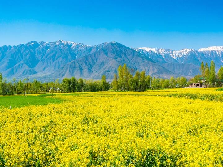 इसके साथ ही श्रीनगर की फेमस और बेहद खूबसूरत डल झील के हाउसबोट में भी आपको एक दिन के लिए रुकने का मौका मिलेगा. आपको दर दिन ब्रेकफास्ट और डिनर की सुविधा मिलेगी. (PC: Freepik)