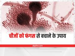 Kitchen Hacks: बारिश में चीजों को फंगस लगने से कैसे बचाएं, अपनाएं ये नुस्खे