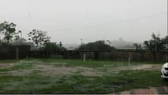 Gujarat Rain: અષાઢી બીજના દિવસે રાજ્યમાં છવાયો વરસાદી માહોલ, ભગવાન જગન્નાથ પર વરુણ દેવના અમી છાંટણા