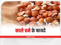 Health Benefits Of Black Gram: दिमाग को तेज करने के अलावा वजन को भी करता है कंट्रोल, जानें क्या है ये चीज़