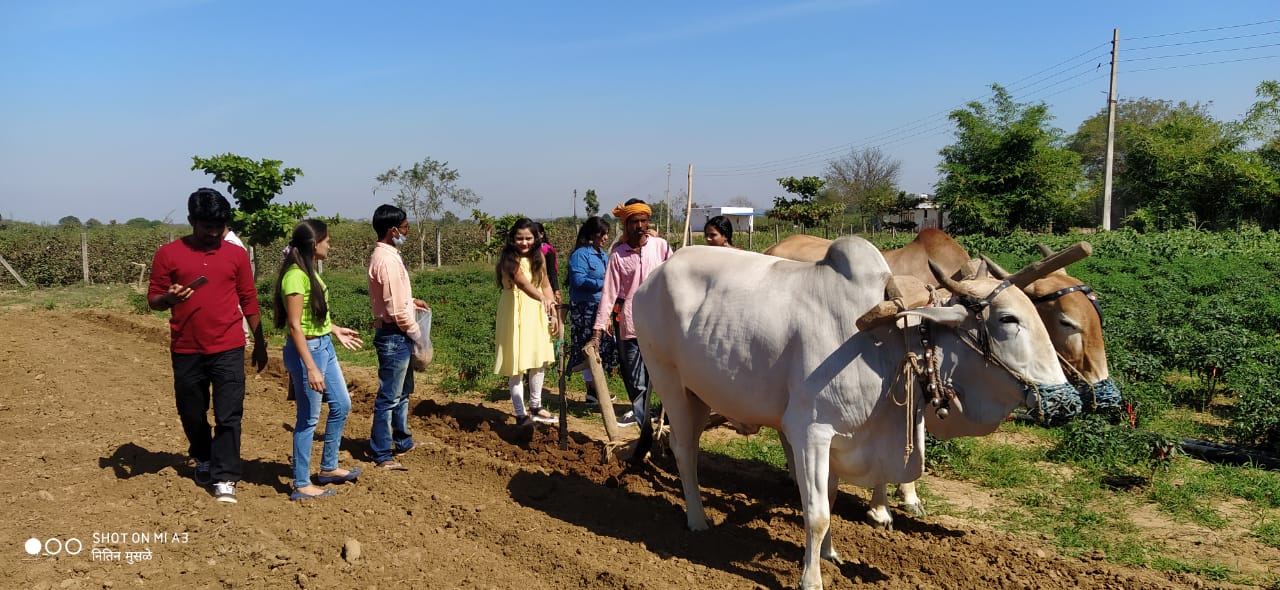 Agriculture Day Special: चार जिगरी दोस्तांच्या आयडियाची संकल्पना! चंद्रपूरात २५ वर्ष ओसाड असलेल्या जमिनीवर सुरु केलं कृषी पर्यटन केंंद्र; वर्षाला कमावतात 43 लाख रुपये