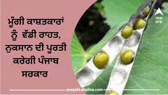 ਕਿਸਾਨਾਂ ਨੂੰ ਮੁੱਖ ਮੰਤਰੀ ਵੱਲੋਂ ਵੱਡੀ ਰਾਹਤ, ਮੂੰਗੀ ਕਾਸ਼ਤਕਾਰਾਂ ਨੂੰ ਹੋਏ ਨੁਕਸਾਨ ਦੀ ਪੂਰਤੀ ਕਰੇਗੀ ਪੰਜਾਬ ਸਰਕਾਰ