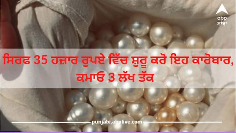 Business Idea: Start business of pearls with mere 35 thousand rupees income upto 3 lakhs Business Idea: ਸਿਰਫ 35 ਹਜ਼ਾਰ ਰੁਪਏ ਵਿੱਚ ਸ਼ੁਰੂ ਕਰੋ ਇਹ ਕਾਰੋਬਾਰ, ਕਮਾਓ 3 ਲੱਖ ਤੱਕ