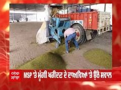 ਪੰਜਾਬ 'ਚ MSP 'ਤੇ ਮੂੰਗੀ ਖਰੀਦਣ ਦੇ ਦਾਅਵਿਆਂ 'ਤੇ ਉੱਠੇ ਸਵਾਲ, ਮਾਨਸਾ 'ਚ ਕਿਸਾਨ ਹੋ ਰਹੇ ਪ੍ਰੇਸ਼ਾਨ