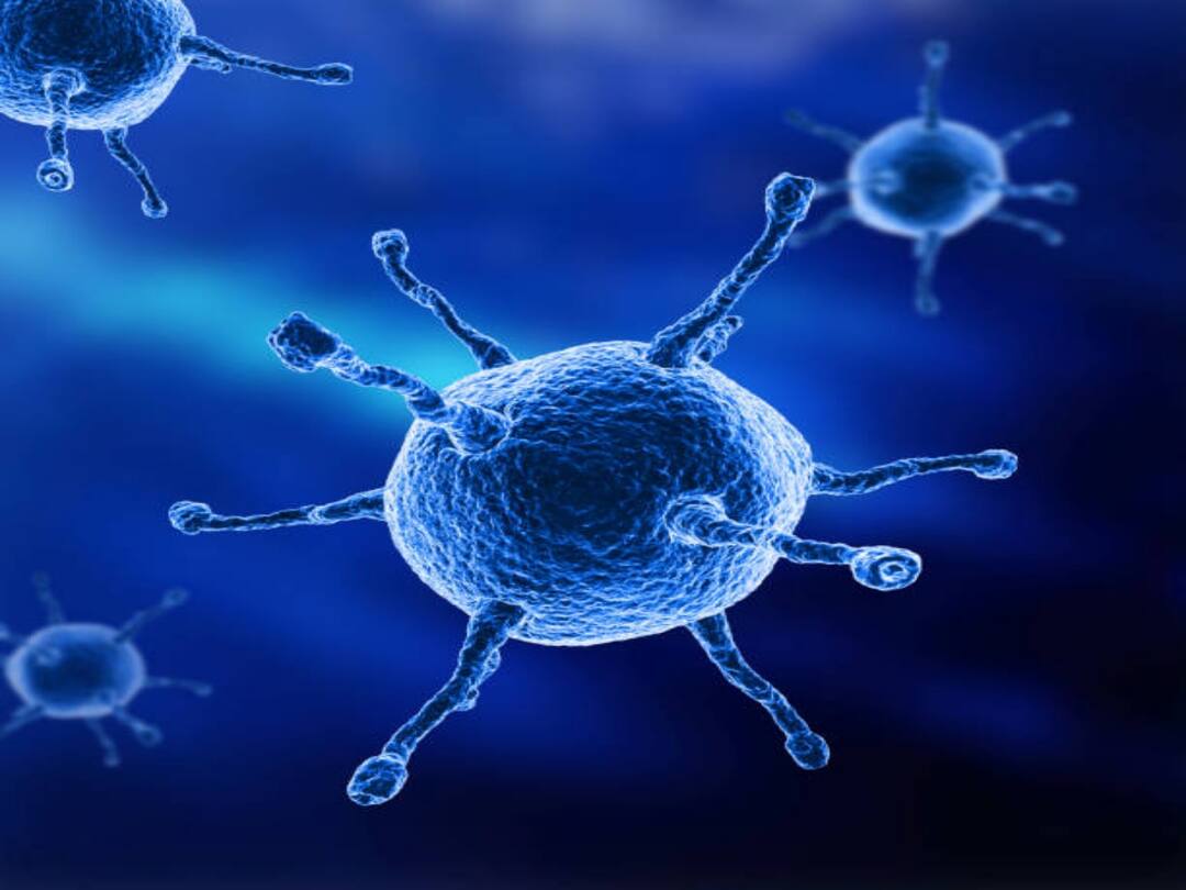 AP Corona Cases : ఏపీలో కరోనా కలవరం, వరుసగా ప్రజాప్రతినిధులకు పాజిటివ్ AP corona cases ysrcp mla tested positive case increased in state dnn AP Corona Cases : ఏపీలో కరోనా కలవరం, వరుసగా ప్రజాప్రతినిధులకు పాజిటివ్