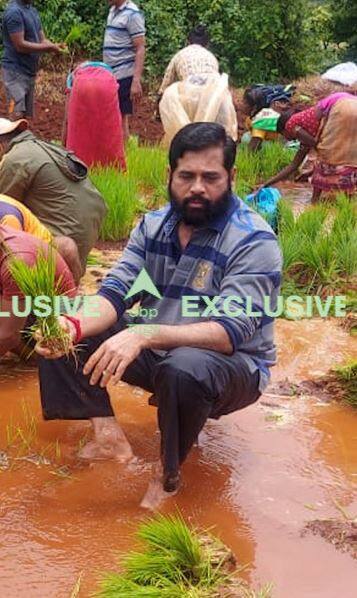 शेतात काम करताना एकनाथ शिंदे