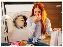 Monsoon Hacks: मानसून में कपड़ों की स्मेल को ऐसे कर सकते हैं दूर, जानें इन ट्रिक्स को